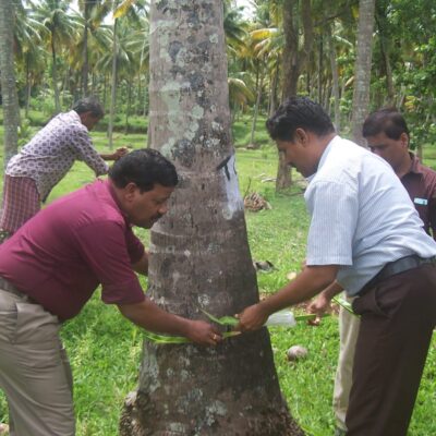 WhatsApp Image 2021-12-08 at 4.05.17 PM