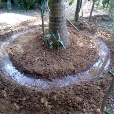 WhatsApp Image 2021-12-08 at 4.05.23 PM